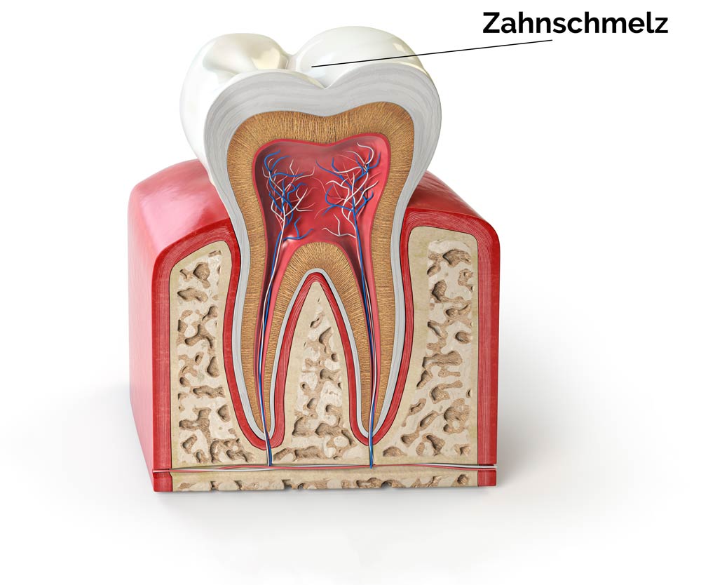 Zahnquerschnitt Zahnschmelz, Zahnarztpraxis in Mülheim Heißen